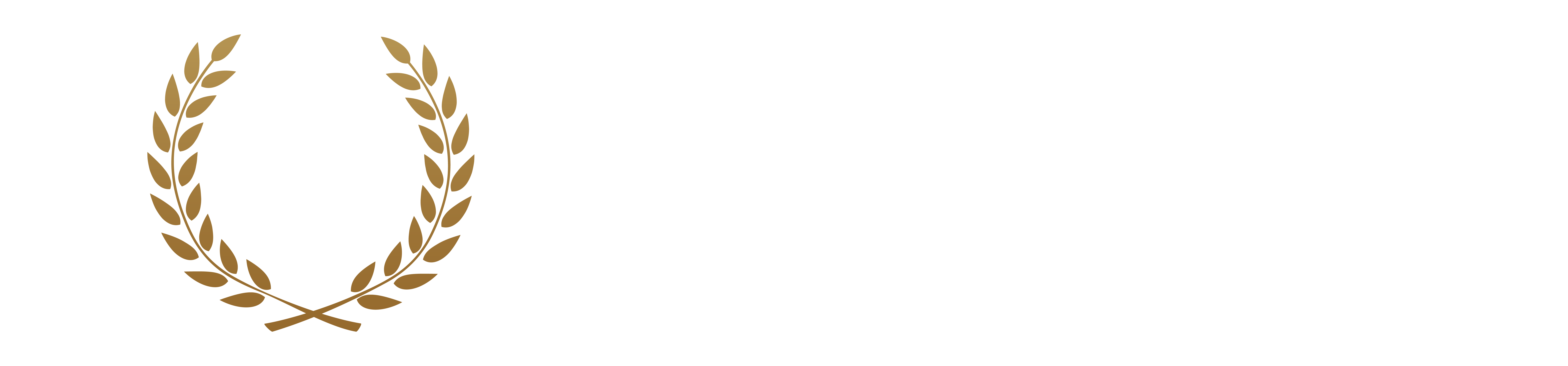 Estrella Family Care and Aesthetics logo