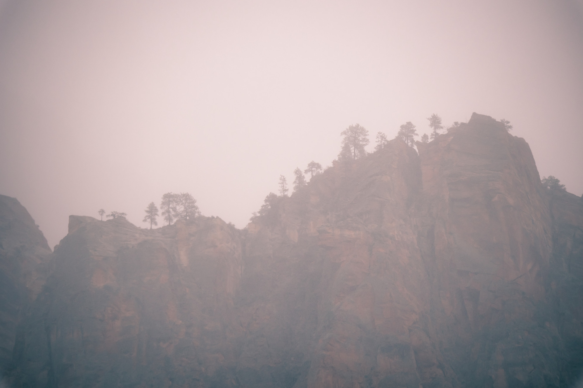 Heal Medical Weight Loss logo