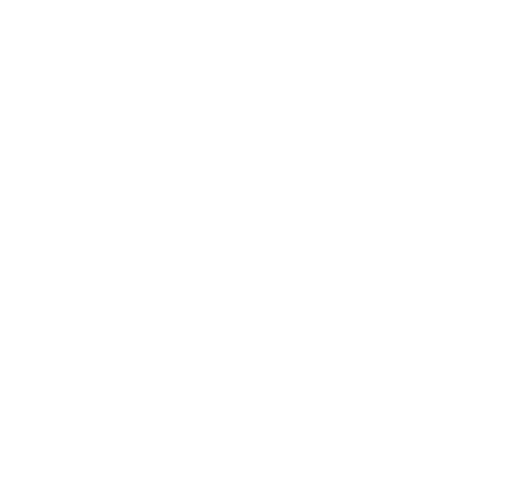 Everest Diabetes & Weight Loss logo