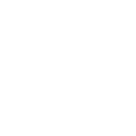 ProHealth Solutions logo