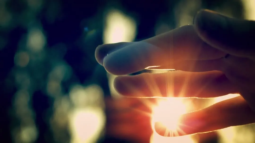 Renewed Vitality logo