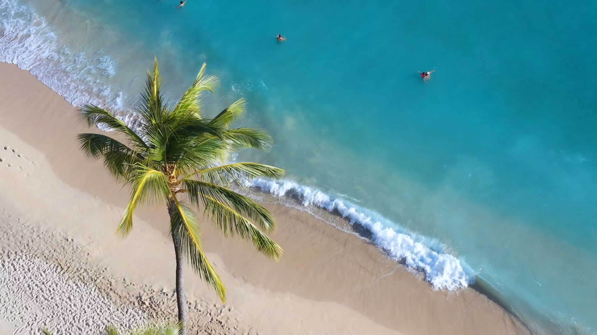 Alpha Health & Wellness logo