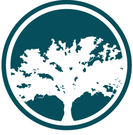 Big Tree Medical logo