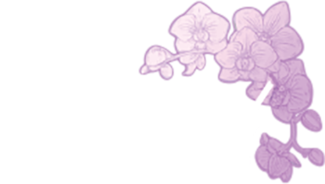 Orchid Aesthetics & Wellness logo