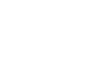 MirSkin logo