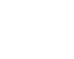 Skinworks logo