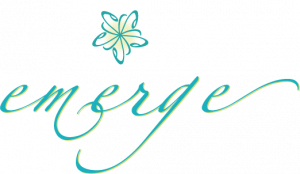Emerge Medical logo