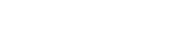 Skin Damsel Aesthetics logo