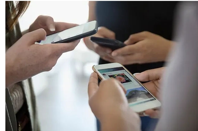 Skarda Wellness logo