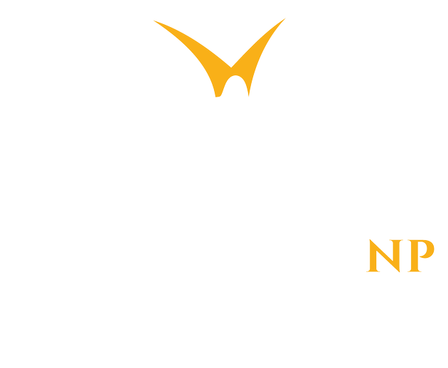 The Virtual NP logo