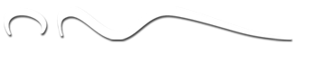 The Beauty & Wellness Center logo
