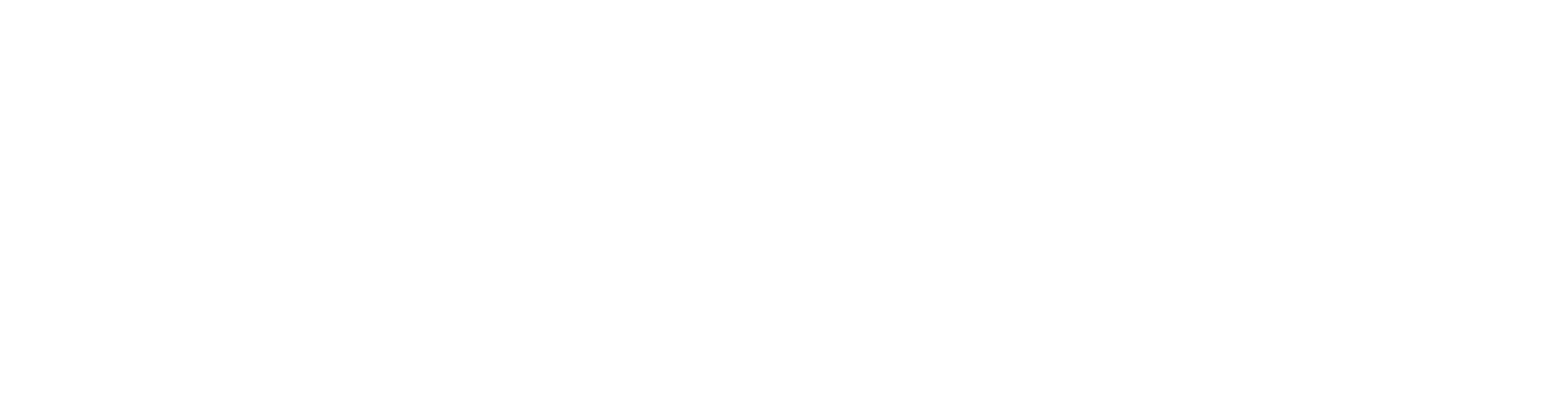 Fitzy Shades Medspa and Laser logo