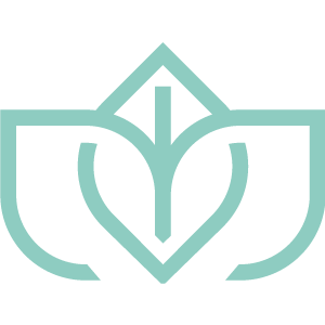 Valley Integrative Medicine - Dr. Alicia Hollis logo