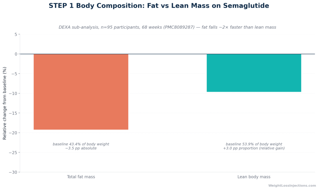 Bar chart comparing fat mass and lean body mass changes in semaglutide-treated participants from the STEP 1 DEXA sub-analysis over 68 weeks, showing −19.3% fat mass reduction versus −9.7% lean body mass reduction, with lean mass proportion relative to total body weight actually increasing by 3.0 percentage points.