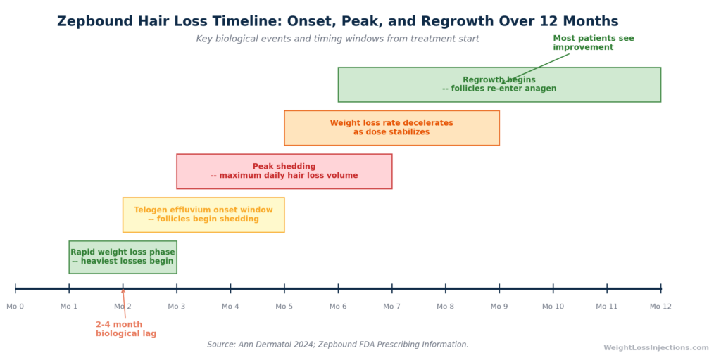 Timeline graphic showing when Zepbound-related hair loss starts, peaks, and resolves over 12 months of treatment, with key biological events annotated.;