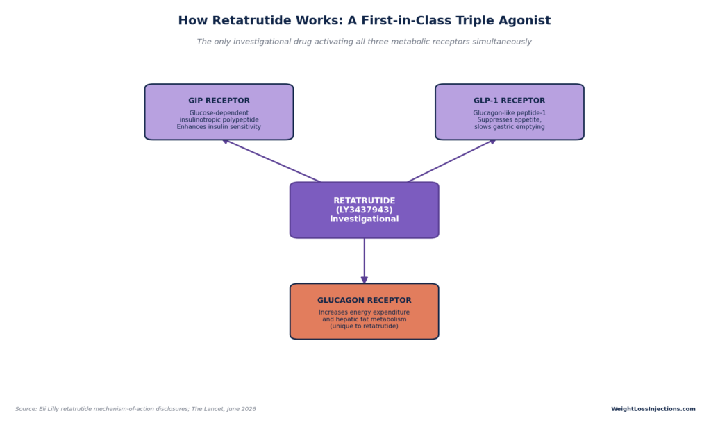Mechanism-of-action diagram showing how retatrutide functions as a triple agonist by targeting the GIP, GLP-1, and glucagon receptors simultaneously.