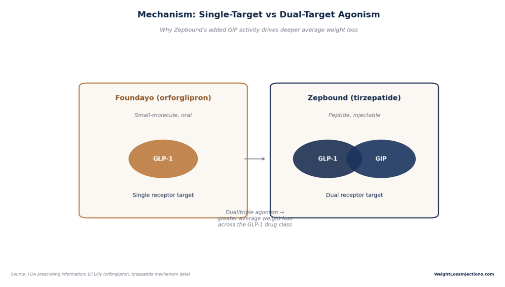 Diagram illustrating drug mechanism differences between Foundayo, a small-molecule oral pill targeting single GLP-1 receptors, and Zepbound, an injectable peptide targeting dual GLP-1 and GIP receptors.