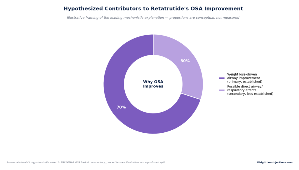 Donut chart illustrating hypothesized OSA improvement drivers: 70% weight loss-driven airway improvement and 30% possible direct airway or respiratory effects.