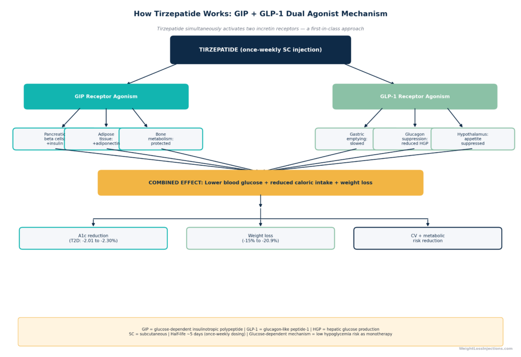 Conceptual diagram of tirzepatide's 39-amino-acid peptide structure with C20 fatty diacid moiety annotated