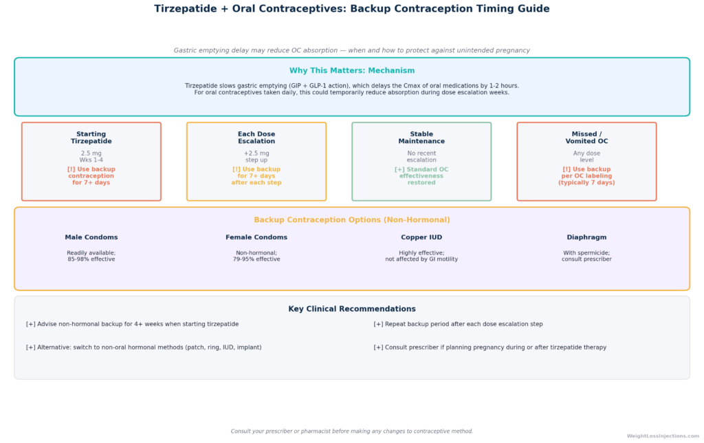 Bar chart showing approximately 20% reduction in oral contraceptive AUC (area under the concentration-time curve) with tirzepatide co-administration versus baseline, based on pharmacokinetic sub-study data — illustrating the magnitude of the absorption interaction.